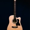 CALVIN SANG CS-41 ECE 民謠電木結他
