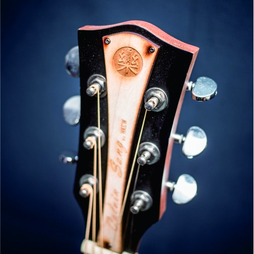 CALVIN Sang CS-41B