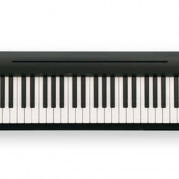 Roland FP-18 BK (Piano Only Package) 中文面版