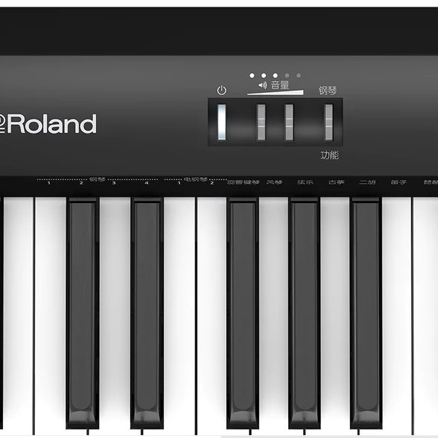 Roland FP-18 BK (FULL SET Package) 中文面版