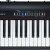 Roland FP-30x BK / WH (Piano Only Package) 