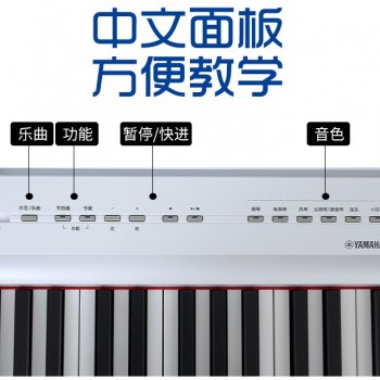 Yamaha P-125 BK / WH (中文面板)  (Piano Only Package)