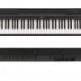 Yamaha P-48 BK (Piano Only)