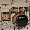 LUDWIG EPIC POWER 爵士鼓