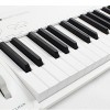 MIDIPLUS Easy Piano 49鍵 MIDI KEYBOARD