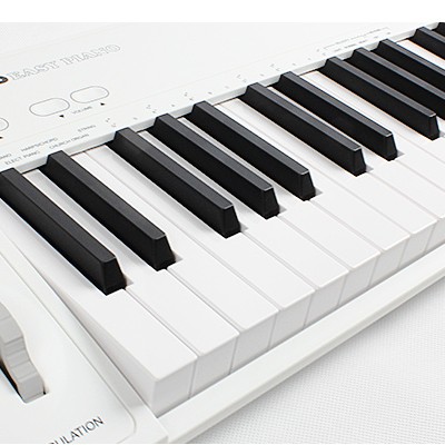 MIDIPLUS Easy Piano 49鍵 MIDI KEYBOARD