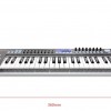 SAMSON Graphite 49 49鍵 半配重 MIDI KEYBOARD