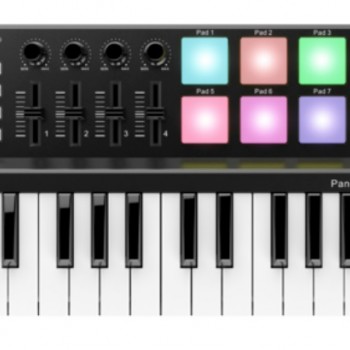 WORLDE PANDA MINI controller midi25