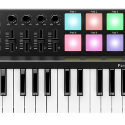 WORLDE PANDA MINI controller midi25