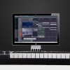 WORLDE PANDA25 MIDI KEYBOARDS