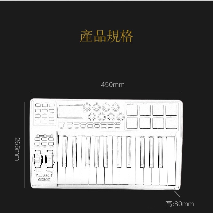 WORLDE PANDA25 MIDI KEYBOARDS