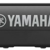門市陳列 電子琴 YAMAHA Piaggero NP-32