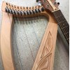 12弦 小豎琴 12 strings lever harp