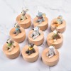 仰望星空 動物 旋轉圓形 音樂盒 MUSIC BOX (單個)