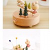 拉拉熊蹺蹺板 木質音樂盒 MUSIC BOX