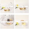 貝殼型 透明 音樂盒 MUSIC BOX