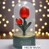 鬱金香 旋轉音樂盒 MUSIC BOX