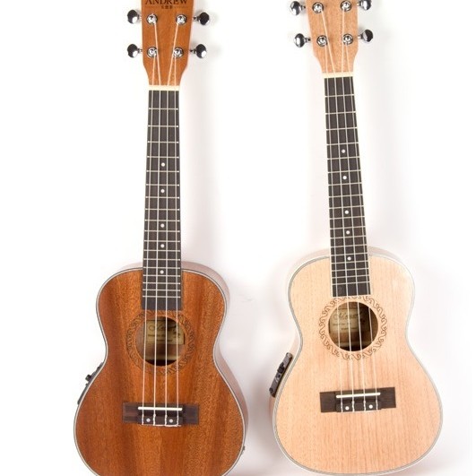 ANDREW ANS23-CE-EQ