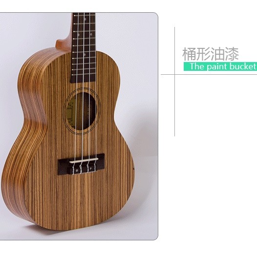 ANDREW ANS23-B 斑馬木