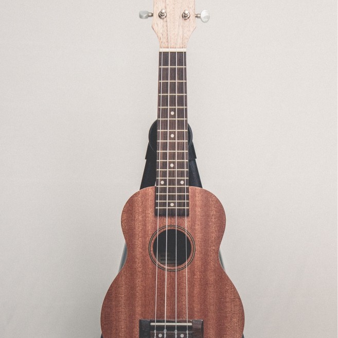 CALVIN SANG CS-21A 