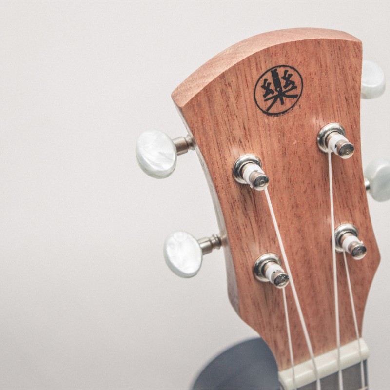 CALVIN SANG CS-21A 