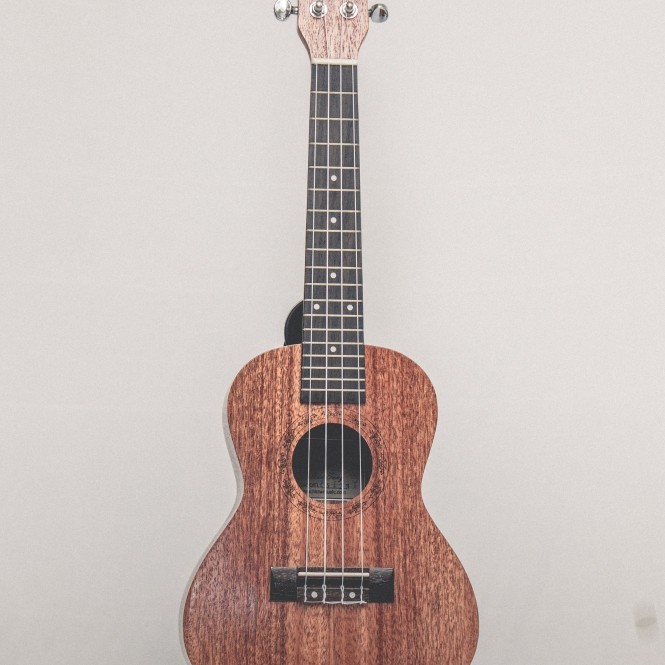 CALVIN SANG CS-23A 