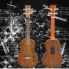 Eleuke -U型