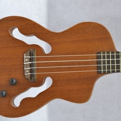 Eleuke -F孔