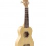 IPRO IP21