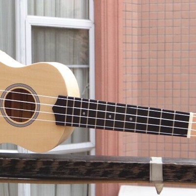 IPRO IP21