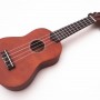 IPRO IP21B