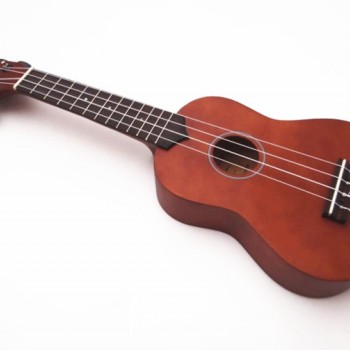 IPRO IP21B