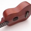 IPRO IP21B