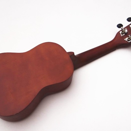IPRO IP21B