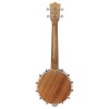 IRIN banjo UKULELE 班卓 小結他