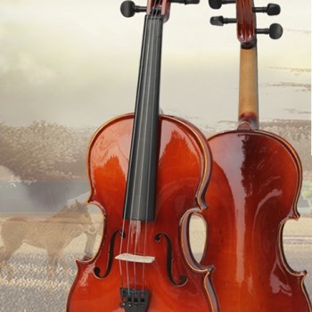 CALVIN SANG CS-V01 小提琴