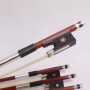 G01 普及 小提琴弓